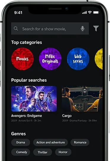 netflix banner1 